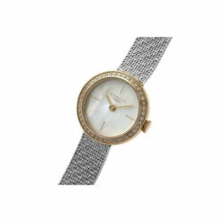 Radley Stainless Steel Fashion Analogue Quartz Watch - Ry4567 For Female 11 Radley Stainless Steel Fashion Analogue Quartz Watch - Ry4567 For Female -Outlet WatchShop Store unnamed file 1070