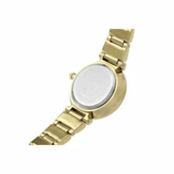 Anne Klein Gold Plated Stainless Steel Fashion Analogue Watch - Ak/2434Chgb For Female -Outlet WatchShop Store unnamed file 1528