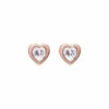 Ted Baker Jewellery Han Swarovski Crystal Heart Earrings Earrings - Tbj1654-24-02 For Female -Outlet WatchShop Store unnamed file 1711