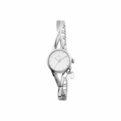 Radley Bayer Stainless Steel Fashion Analogue Quartz Watch - Ry4181 For Female
