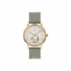 Radley Plated Stainless Steel Fashion Analogue Quartz Watch - Ry21312 For Female -Outlet WatchShop Store unnamed file 2274