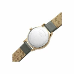 Radley Plated Stainless Steel Fashion Analogue Quartz Watch - Ry21312 For Female -Outlet WatchShop Store unnamed file 2278