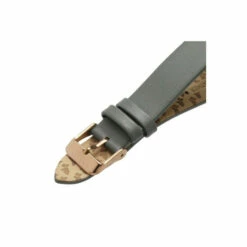 Radley Plated Stainless Steel Fashion Analogue Quartz Watch - Ry21312 For Female -Outlet WatchShop Store unnamed file 2279