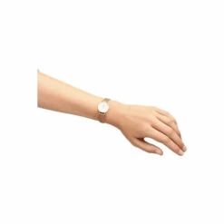 Daniel Wellington Petite 24 Stainless Steel Classic Analogue Quartz Watch - Dw00100447 For Female -Outlet WatchShop Store unnamed file 2342