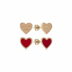 Radley Jewellery Fashion Earrings - Ryj1154S-Card For Female -Outlet WatchShop Store unnamed file 2439