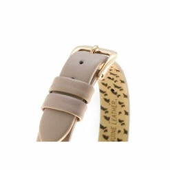 Radley Southwark Park Stainless Steel Fashion Analogue Watch - Ry2544S For Female -Outlet WatchShop Store unnamed file 2602