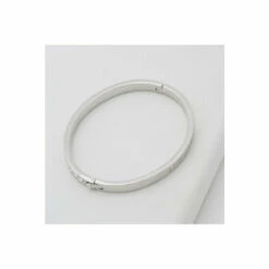 Ted Baker Jewellery Clemara Hinge Bangle - Tbj1567-01-02 For Female -Outlet WatchShop Store unnamed file 3468