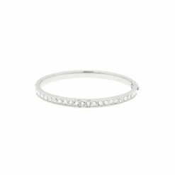 Ted Baker Jewellery Clemara Hinge Bangle - Tbj1567-01-02 For Female -Outlet WatchShop Store unnamed file 3469