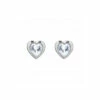 Ted Baker Jewellery Heart Stud Earrings - Tbj1654-01-02 For Female -Outlet WatchShop Store unnamed file 3553