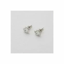 Ted Baker Jewellery Heart Stud Earrings - Tbj1654-01-02 For Female -Outlet WatchShop Store unnamed file 3557