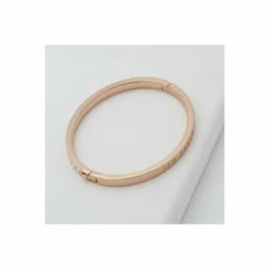 Ted Baker Jewellery Clemara Hinge Bangle - Tbj1567-24-02 For Female -Outlet WatchShop Store unnamed file 3712