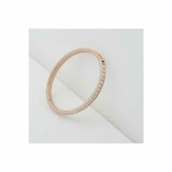 Ted Baker Jewellery Clemara Hinge Bangle - Tbj1567-24-02 For Female -Outlet WatchShop Store unnamed file 3713