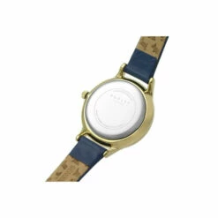Radley Plated Stainless Steel Fashion Analogue Quartz Watch - Ry2974 For Female -Outlet WatchShop Store unnamed file 4104