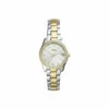Fossil Scarlette Mini Stainless Steel Fashion Analogue Quartz Watch - Es4319 For Female