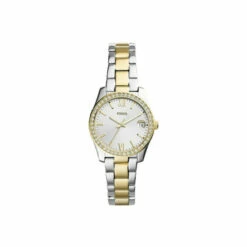 Fossil Scarlette Mini Stainless Steel Fashion Analogue Quartz Watch - Es4319 For Female
