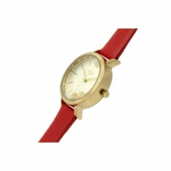 Radley Gold Plated Stainless Steel Fashion Analogue Quartz Watch - Ry2988 For Female -Outlet WatchShop Store unnamed file 4362