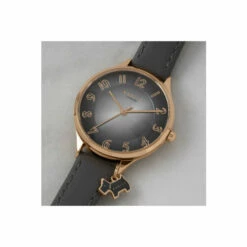 Radley Plated Stainless Steel Fashion Analogue Quartz Watch - Ry2966 For Female -Outlet WatchShop Store unnamed file 457