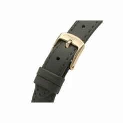 Radley Plated Stainless Steel Fashion Analogue Quartz Watch - Ry2966 For Female -Outlet WatchShop Store unnamed file 460