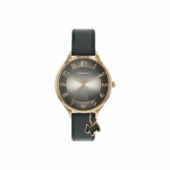 Radley Plated Stainless Steel Fashion Analogue Quartz Watch - Ry2966 For Female -Outlet WatchShop Store unnamed file 461