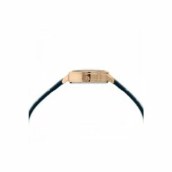 Radley Plated Stainless Steel Fashion Analogue Quartz Watch - Ry21128A For Female -Outlet WatchShop Store unnamed file 4729