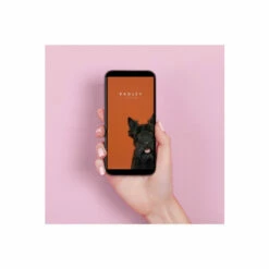 Radley Smart Plastic/resin Fitness Watch - Rys01-2067-Set For Female -Outlet WatchShop Store unnamed file 5019