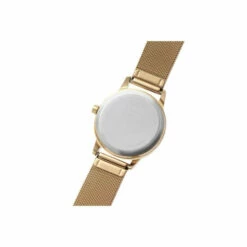 Radley Gold Plated Stainless Steel Fashion Analogue Quartz Watch - Ry4536A For Female -Outlet WatchShop Store unnamed file 5175