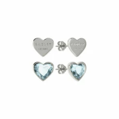 Radley Jewellery Fashion Earrings - Ryj1157S-Card For Female -Outlet WatchShop Store unnamed file 5673