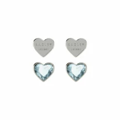 Radley Jewellery Fashion Earrings - Ryj1157S-Card For Female -Outlet WatchShop Store unnamed file 5674