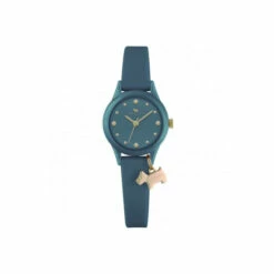 Radley Plastic/resin Fashion Analogue Quartz Watch - Ry2370 For Female