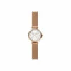 Skagen Amberline Stainless Steel Classic Analogue Quartz Watch - Skw2955 For Female -Outlet WatchShop Store unnamed file 704