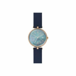 Skagen Karolina Stainless Steel Classic Analogue Solar Watch - Skw2981 For Female