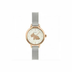 Radley Plated Stainless Steel Fashion Analogue Quartz Watch - Ry4590 For Female