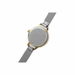 Radley Plated Stainless Steel Fashion Analogue Quartz Watch - Ry4590 For Female -Outlet WatchShop Store unnamed file 775