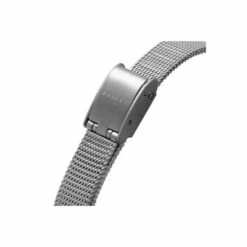 Radley Plated Stainless Steel Fashion Analogue Quartz Watch - Ry4590 For Female -Outlet WatchShop Store unnamed file 776