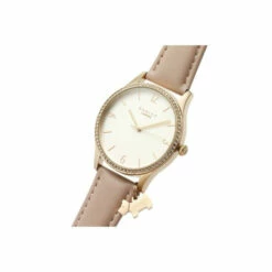Radley Plated Stainless Steel Fashion Analogue Quartz Watch - Ry21324 For Female -Outlet WatchShop Store unnamed file 904