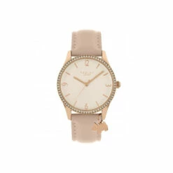 Radley Plated Stainless Steel Fashion Analogue Quartz Watch - Ry21324 For Female -Outlet WatchShop Store unnamed file 906